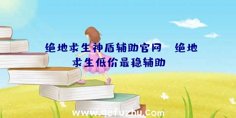 「绝地求生神盾辅助官网」|绝地求生低价最稳辅助
